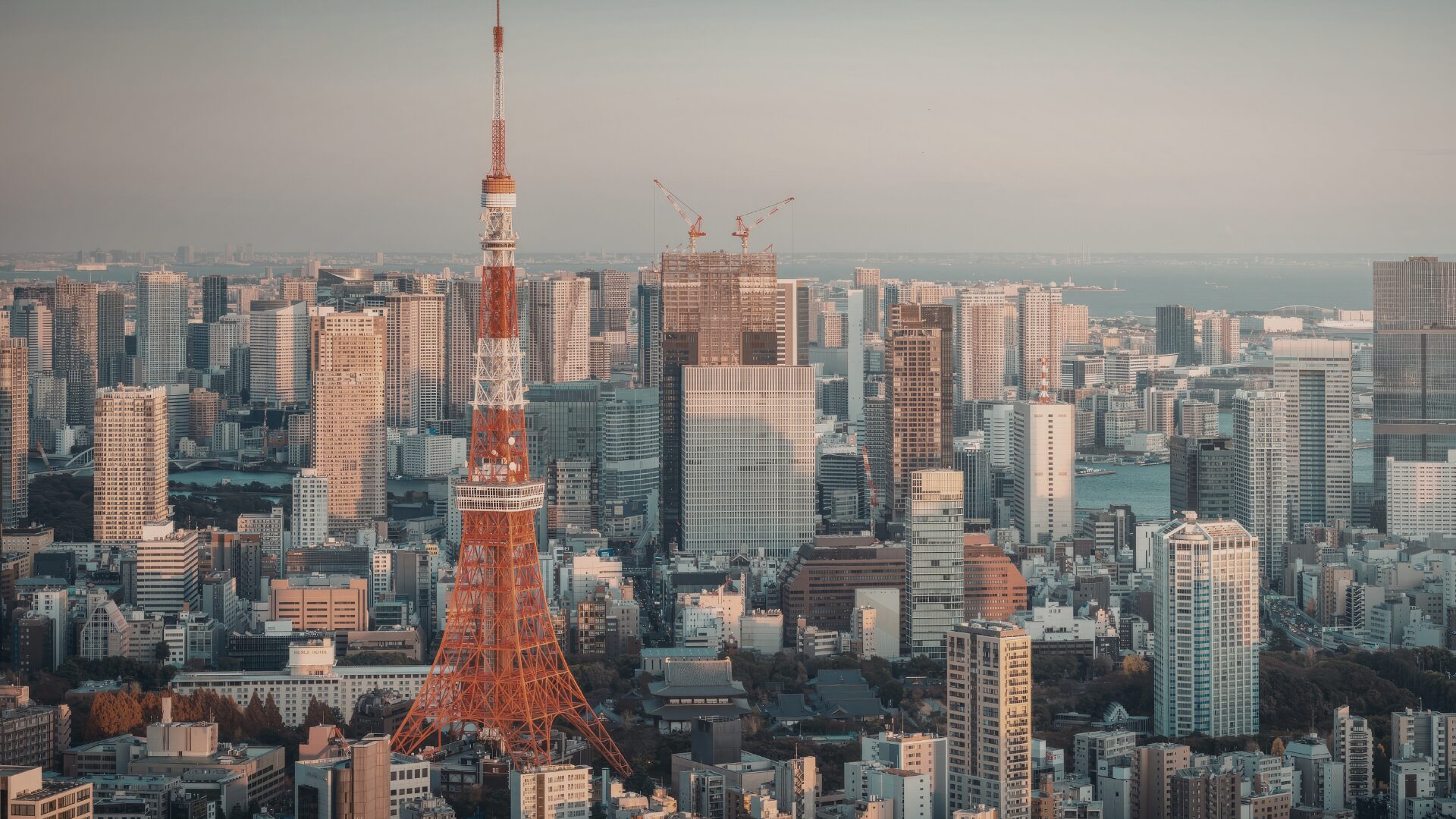 東京エリアでワイヤーロープを至急調達！即納・特注加工・1本から対応できるニッサンスチール